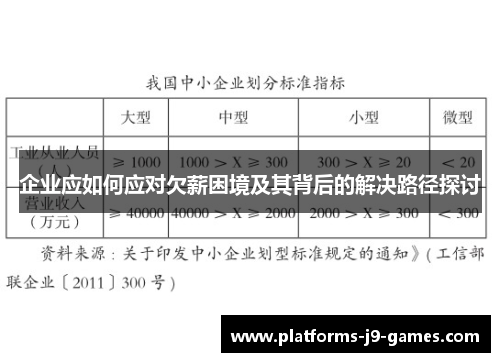 企业应如何应对欠薪困境及其背后的解决路径探讨